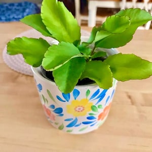 K&ouml;nnte beinhalten: Eine leuchtend gr&uuml;ne Kalanchoe-Pflanze mit gezackten Bl&auml;ttern in einem wei&szlig;en Keramiktopf. Der Topf ist mit einem handgemalten Blumenmuster verziert, das gelbe, orangefarbene und blaue Bl&uuml;tenbl&auml;tter sowie kleine blaue Bl&auml;tter auf wei&szlig;em Grund zeigt.