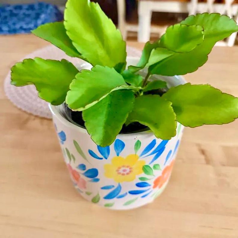 K&ouml;nnte beinhalten: Eine leuchtend gr&uuml;ne Kalanchoe-Pflanze mit gezackten Bl&auml;ttern in einem wei&szlig;en Keramiktopf. Der Topf ist mit einem handgemalten Blumenmuster verziert, das gelbe, orangefarbene und blaue Bl&uuml;tenbl&auml;tter sowie kleine blaue Bl&auml;tter auf wei&szlig;em Grund zeigt.
