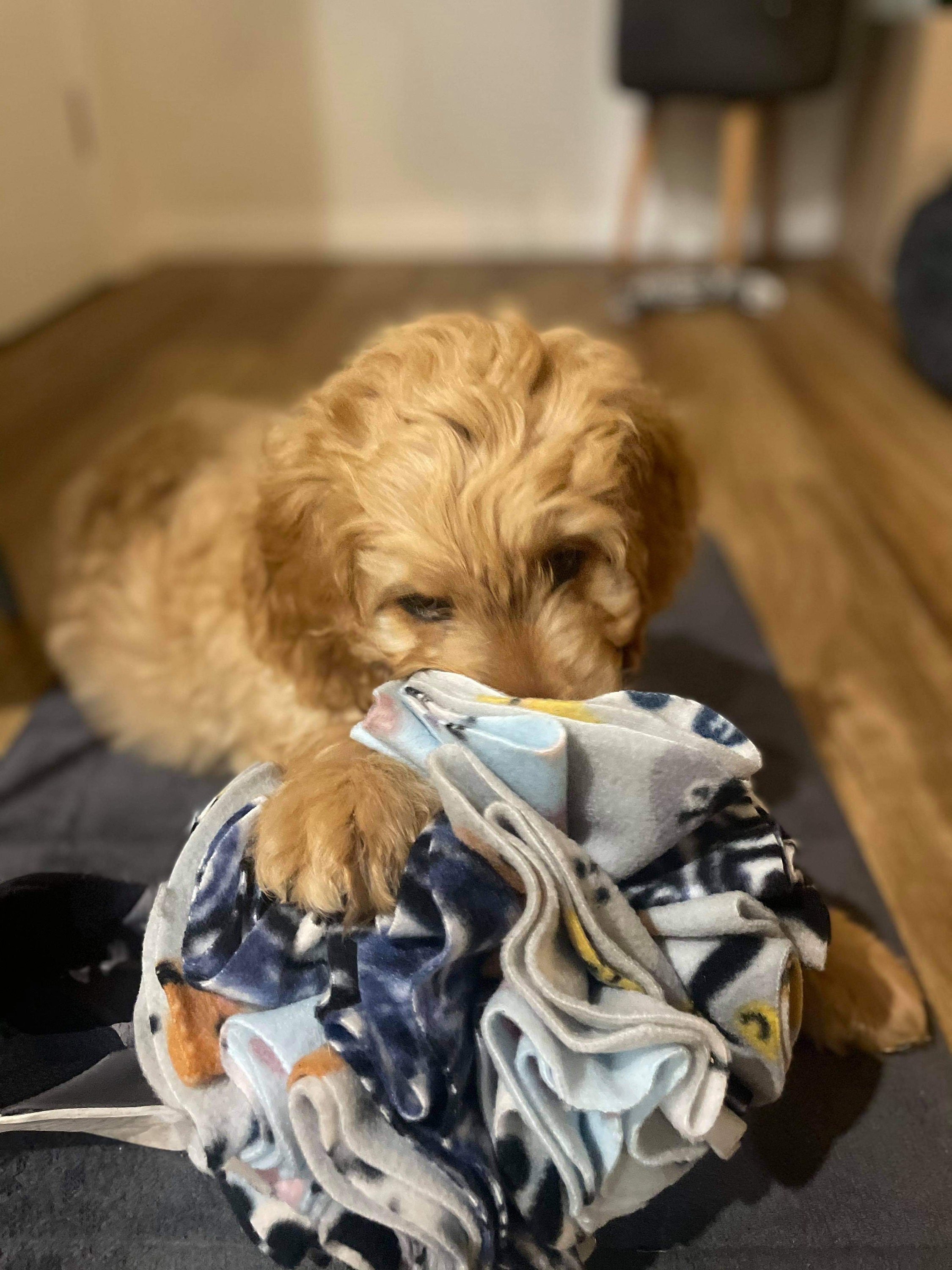 Customised Large Snuffle Balls Etsy