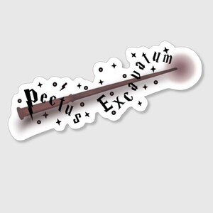 May include: A brown wooden wand with a black tip, casting a spell with the words "Expecto Patronum" written around it.