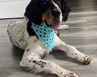 Crochet Dog Bandana Pattern