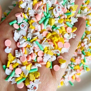 Chicken Egg Bunny Easter Sprinkle Mix, Polymer Clay Fake Sprinkles, Decoden Funfetti Jimmies, Spring Fake Sprinkles, Slime Supplies