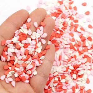 10grams Polymer Clay Fake Sprinkles, Slime Charm,  Resin Filler, Polymer Clay Fimo Slices, DIY Craft Supplies, Slime Add-ins, Nail Charm