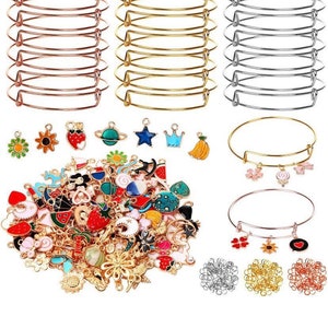 265pcs Charm Bracelet DIY Kit, Make your own bangle bracelet diy kit, BFF, Kids adult activity kit, gift for her,Jewelry making