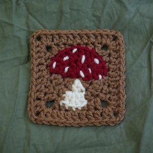 May include: A brown crocheted square with a red and white mushroom design in the center.