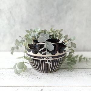 May include: A black and white ceramic planter with a geometric design. The planter is filled with a green leafy plant.