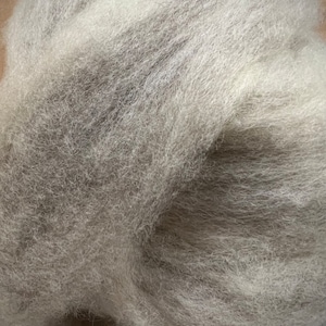 May include: A close-up of a large pile of undyed wool roving. The wool is a mix of light gray and off-white, with a soft, fluffy texture. The fibers are loosely packed, creating a cloud-like appearance. This wool is suitable for various fiber arts.