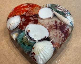 Heart-shaped sea shell paperweight