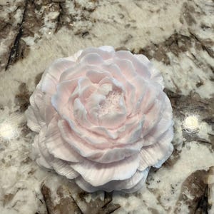Palest Pink Resin Peony Flower Collectible - so pretty and delicate