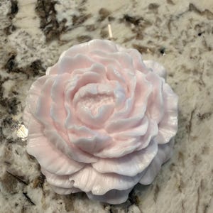 Palest Pink Resin Peony Flower Collectible - so pretty and delicate