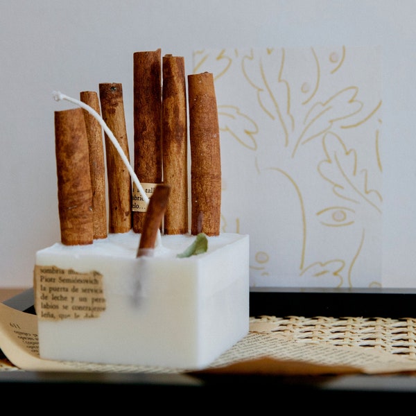 Cinnamon candle (bougie canelle)