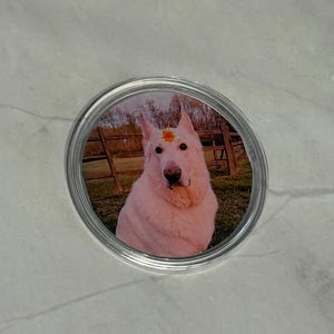 Custom photo button