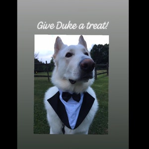 Give Duke a treat!:)