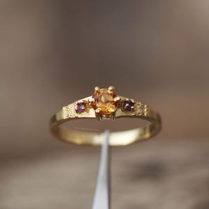 以下が含まれることがあります： 中央にオレンジ色の宝石、両側に2つの小さな紫色の宝石をあしらったゴールドリング。バンドはテクスチャード加工のデザインです。リングは、ぼやけた背景に対してピンセットで保持されています。