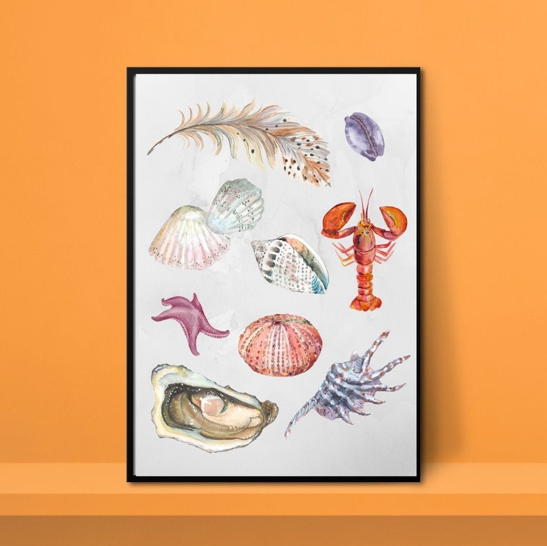 Op de afbeelding: Een aquarel-illustratie van verschillende schelpen, een kreeft, een zeester, een veer en een zee-egel. De illustratie is op een witte achtergrond.
