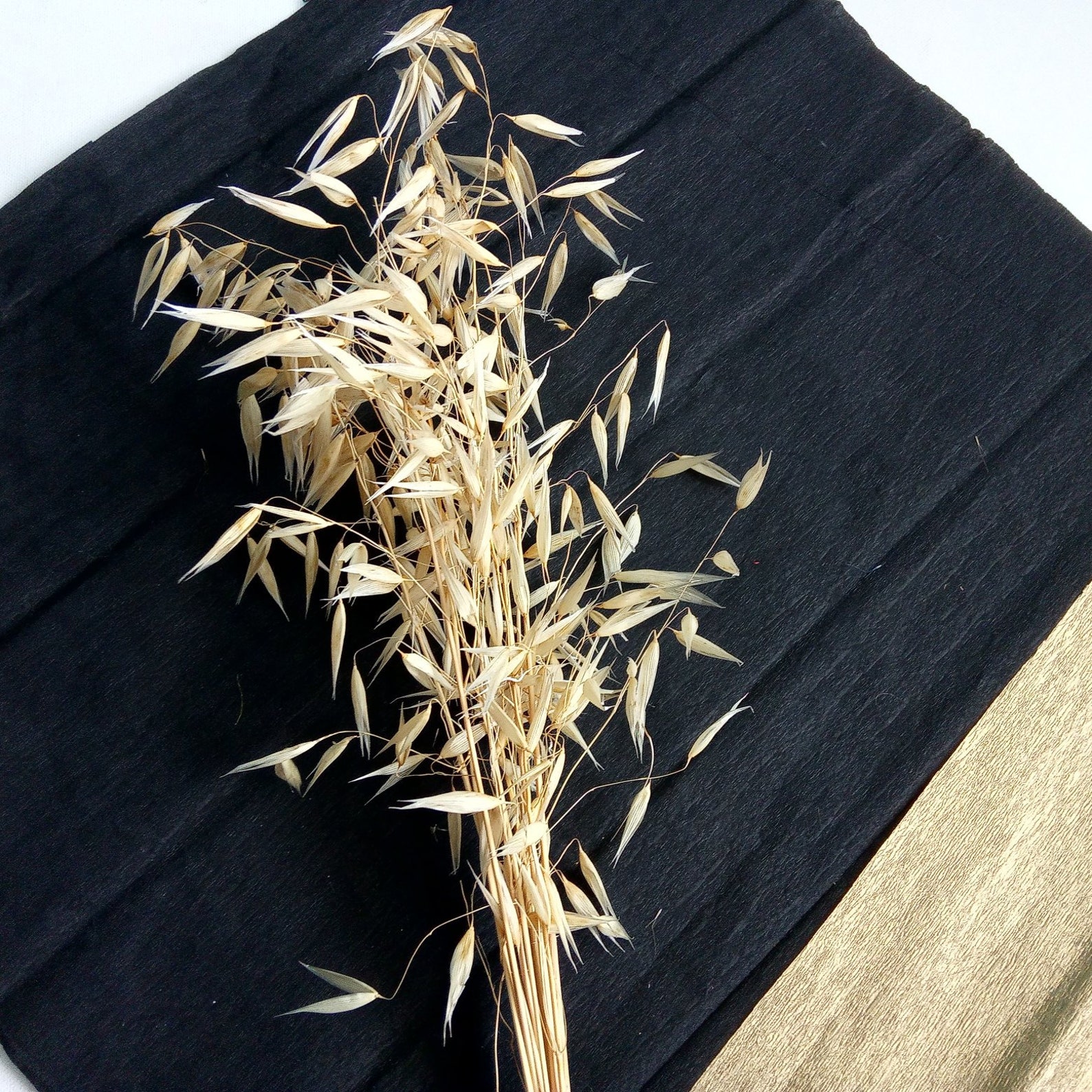 10 Stems Oat Natural XL Dried for Home Decor Creative Projects Etsy