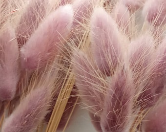 10 stems Lagurus Violet Lilac Dried Bunny Tails for Home decor Creative Projects Lagurus grass for wall table decoration  Dried Flower Gift