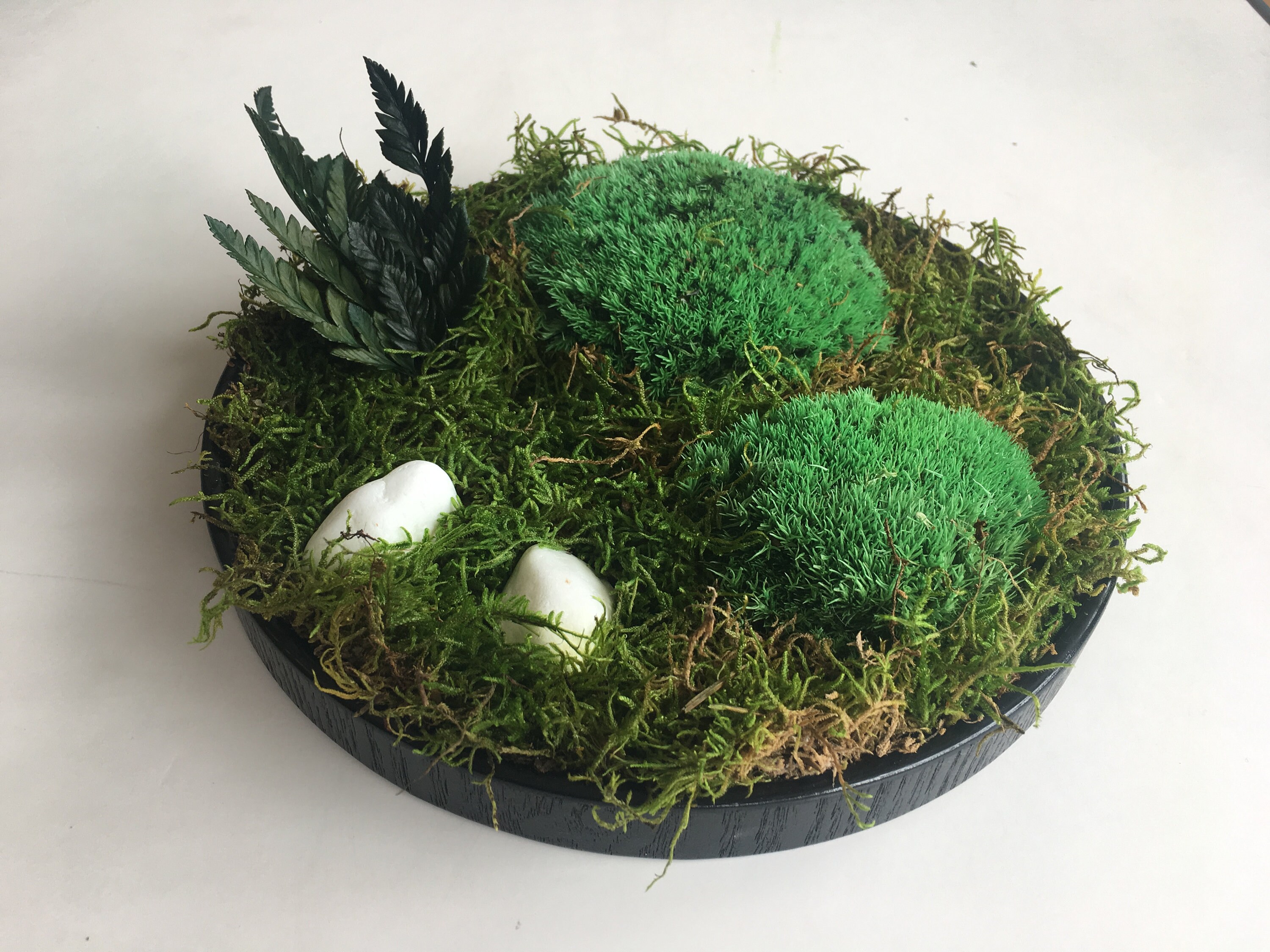 Tableau Végétal Stabilisé - Kuro, Cadre Végétal, Preserved Moss Frame