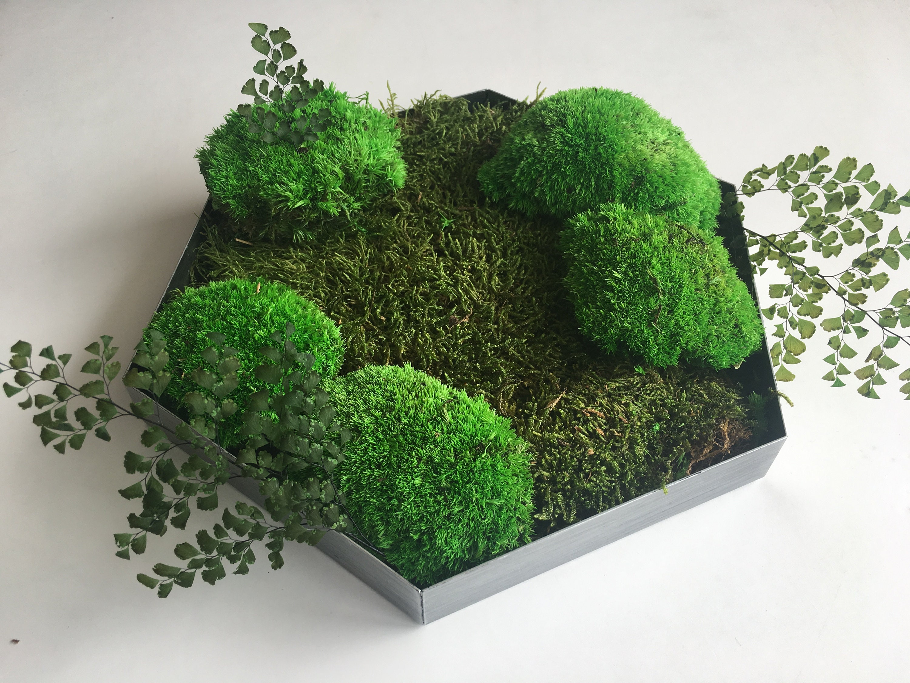 Tableau Végétal Stabilisé