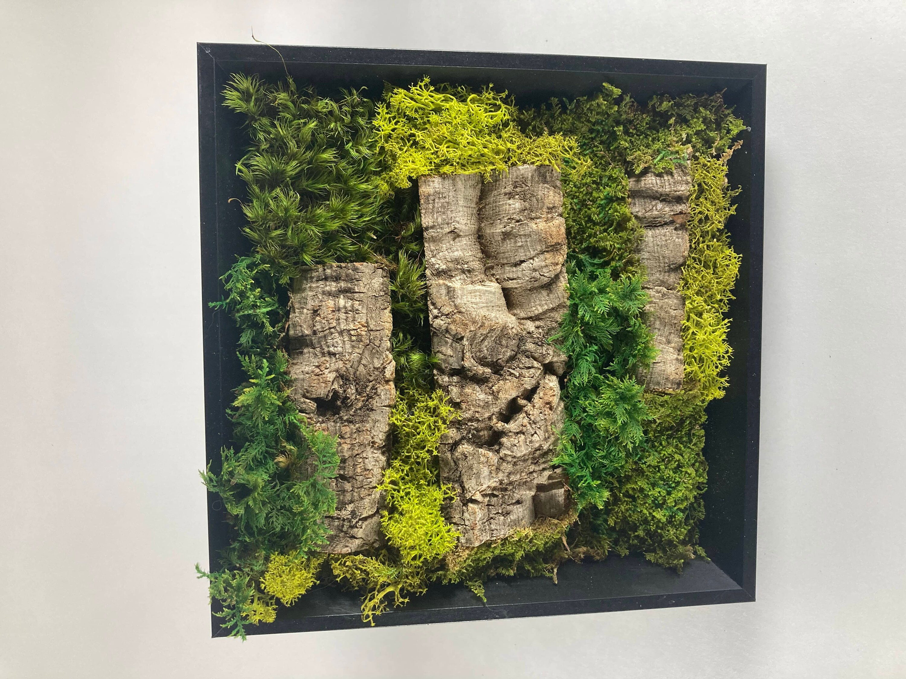 Tableau Végétal Stabilisé Rirou, Cadre Végétal, Preserved Moss Frame