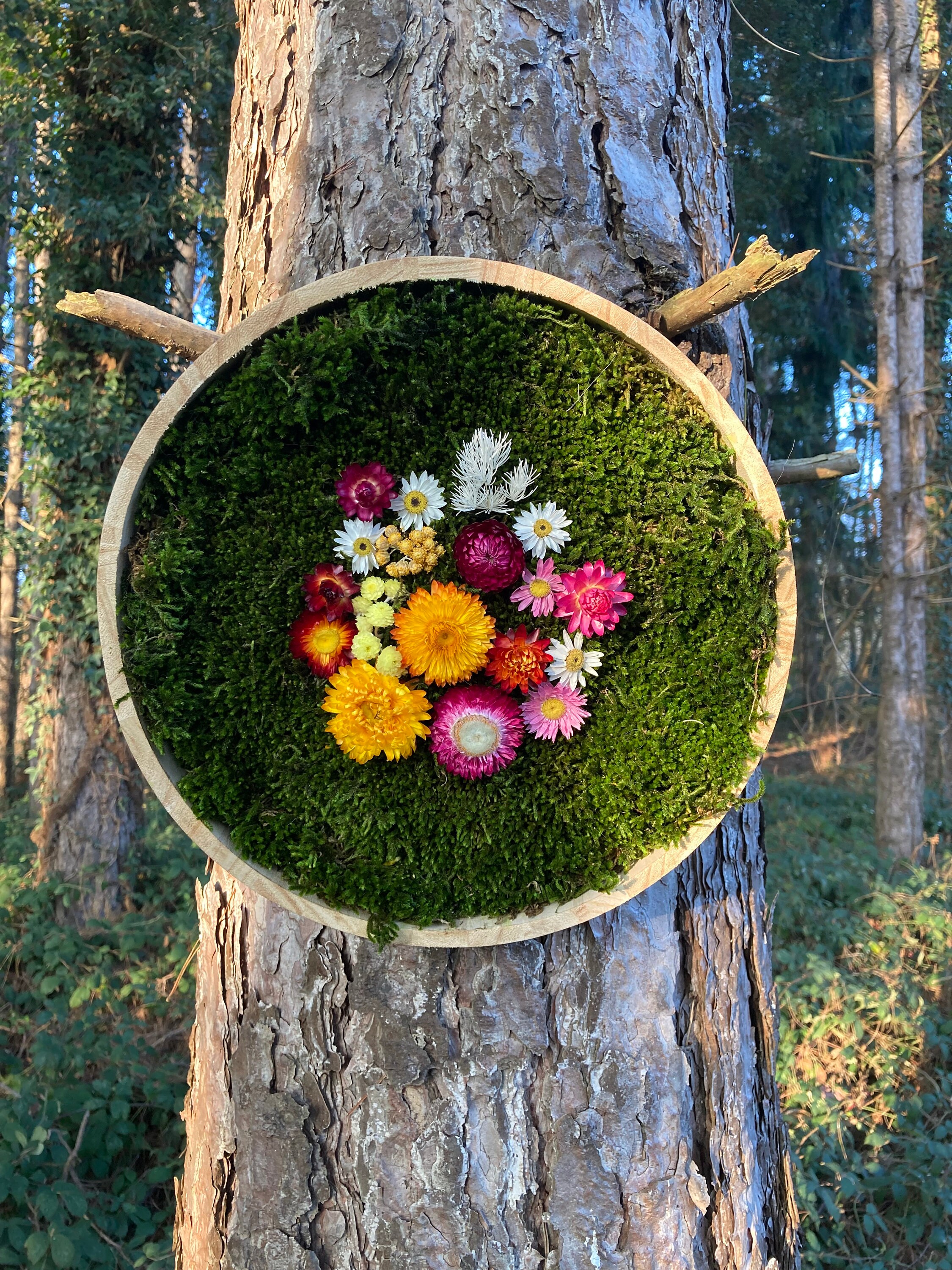 Tableau Végétal Stabilisé, Cadre Végétal, Preserved Moss Frame, Fleurs Séchées