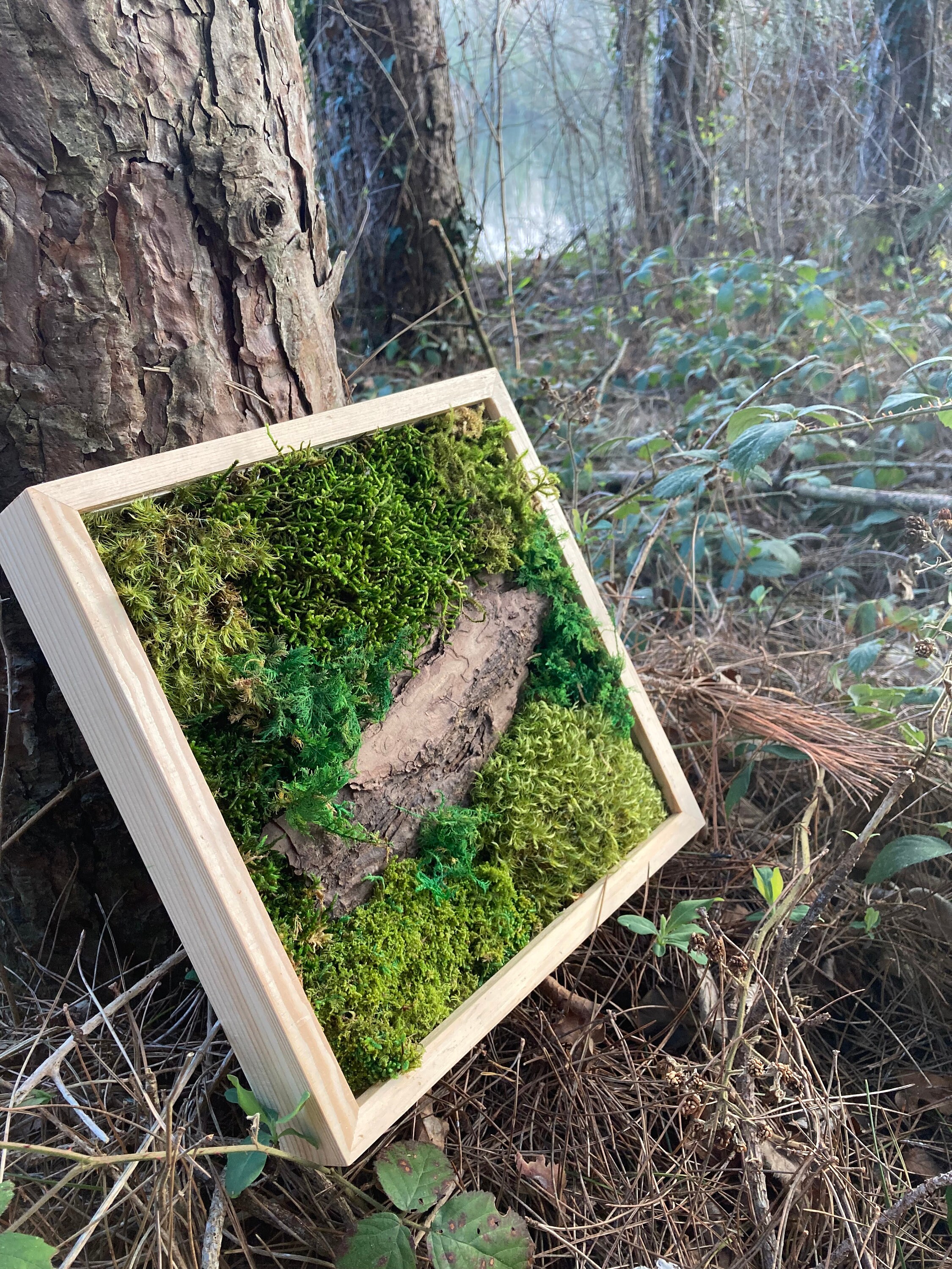 Tableau Végétal Stabilisé, Cadre Végétal, Preserved Moss Frame