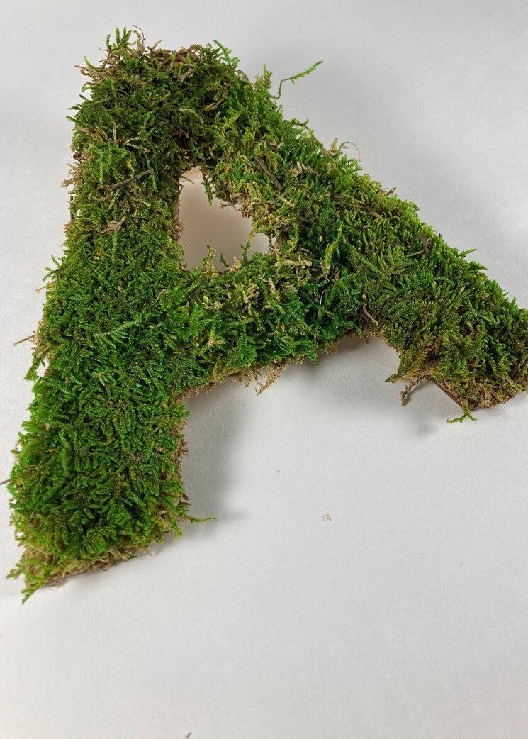 Lettre Végétale Stabilisée, Cadre Végétal, Tableau Végétal