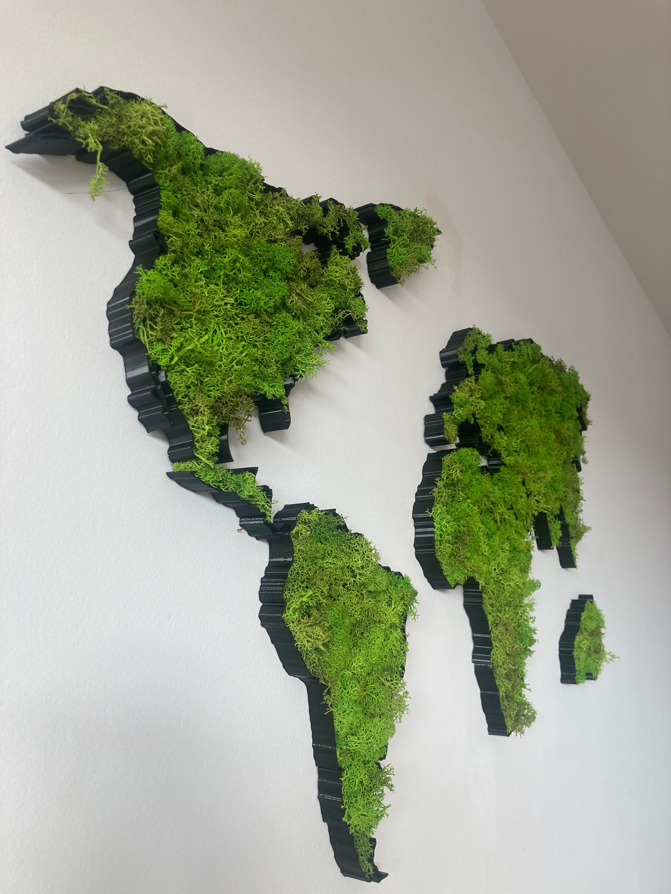 68travel Carte du monde en mousse et lichen 3D - mousse forestière