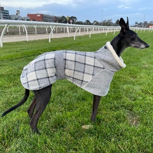 Large dog coats australia hotsell
