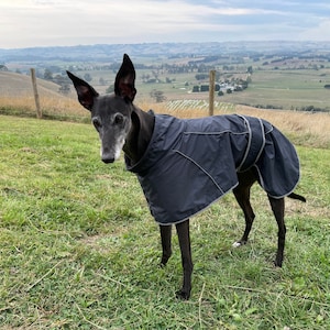 Dog Raincoat Etsy Australia