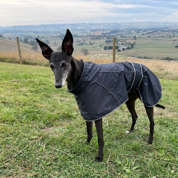 Dog Raincoat with Fleece Lining