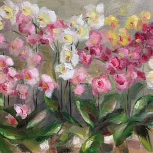 Orquídea