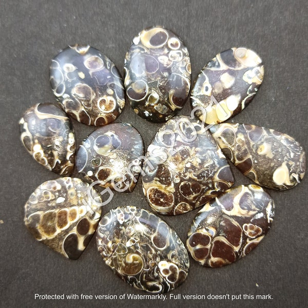 Natural Turritella Agate gemstone Cabochon, Turritella Jewelry - Turritella Agate cabochon - Multi Jewelry Making Stone, Loose Gemstone