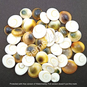 Natural Shiva Eye Shell Gemstone Cabochon. Shiva Eye Jewelry - Pacific Cat&#39;s Eye - Eye Stone - Multi Jewelry making Stone - Loose Gemstone