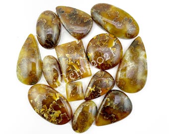 Natural Sature Ammonite Cabochon shell gemstone, Fossil Jewelry Stone - Ammonite Fossil Cabochon, Multi Jewelry Making Stone, Loose Gemstone