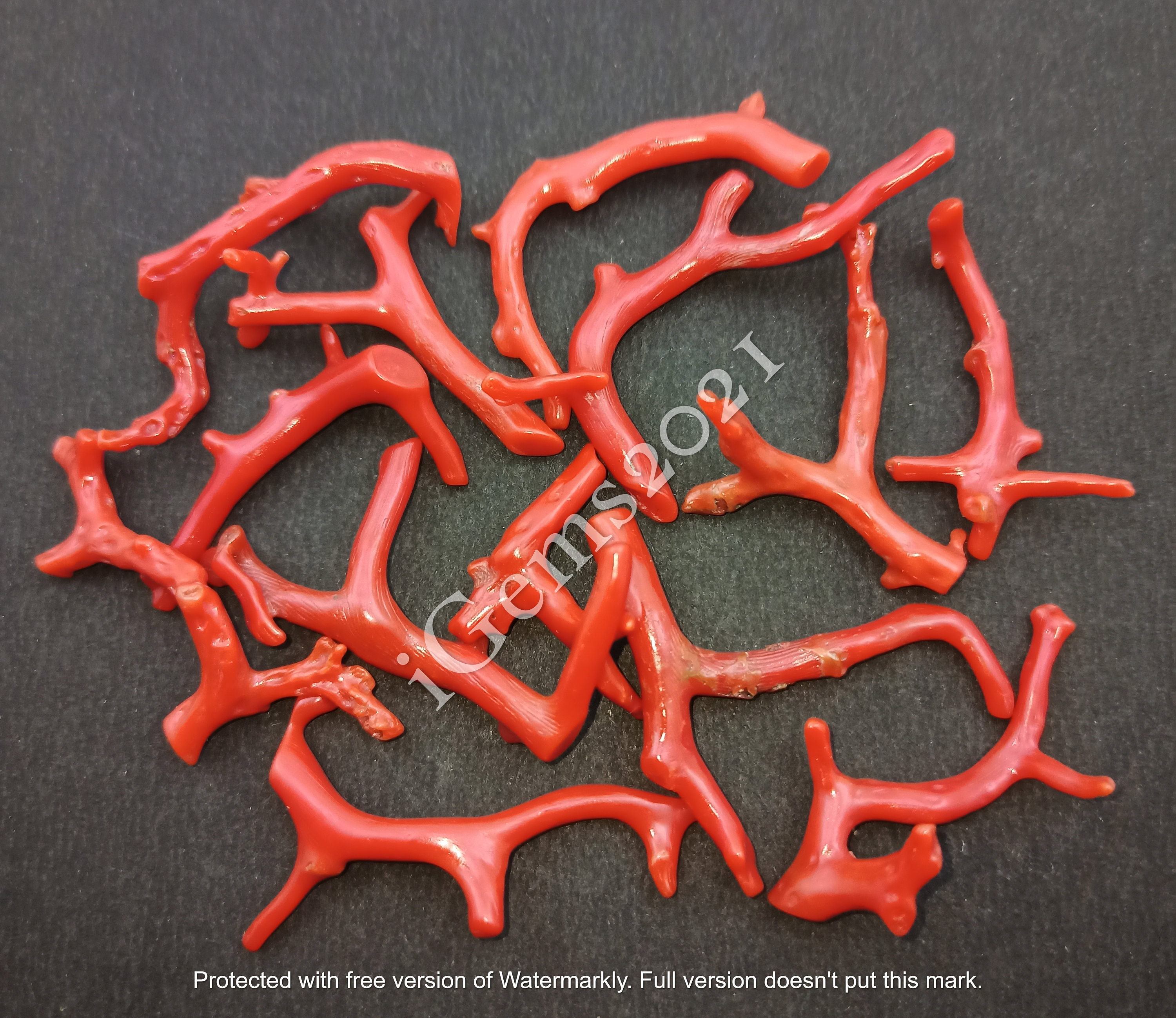 Red coral hotsell for sale