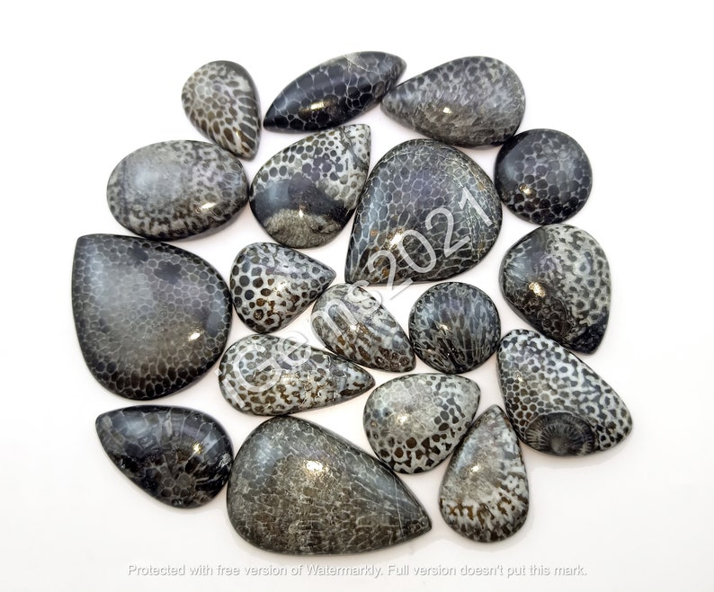 May include: A collection of 15 fossilized coral cabochons in various shapes and sizes. The cabochons are a mix of gray and black with a textured surface.