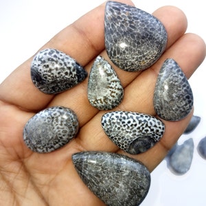 May include: A collection of seven teardrop-shaped cabochons made from fossilized coral. The cabochons are a mix of black and white with a mottled pattern.