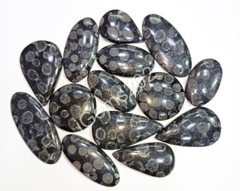 Fabulous Top Quality 100/% Natural Black Fossil Coral Oval Shape Cabochon Loose Gemstone For Making Jewelry 59 Ct 37X27X7 mm J-3860