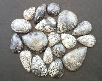 Natural Black Fossil Coral Gemstone Cabochon, Fossil coral Jewelry - Fossilized coral- coral - Multi Jewelry Making Stone, Loose Gemstone