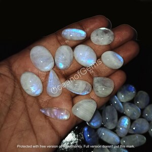 May include: A collection of moonstone cabochons in various sizes and shapes. The stones are a milky white color with a blue iridescent sheen.
