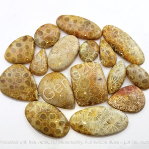 Cabochão de coral fóssil natural AAA, pedra coral para joias - Lote de cabochão de coral fóssil - Pedra para fazer joias múltiplas, pedra preciosa solta