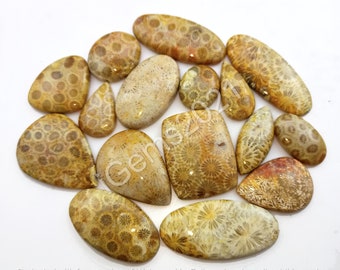 AAA Natural Fossil Coral Gemstone Cabochon, Coral stone for Jewelry - Fossil Coral Cabochon Lot - Multi Jewelry Making Stone, Loose Gemstone
