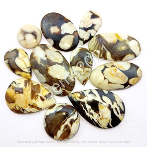 Natuurlijk pindahout cabochon veel, versteend hout sieraden - pinda losse cabochon - edelstenen - multi-sieraden maken steen, losse edelsteen