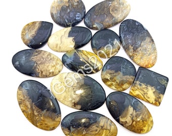 Natural Palm Root Agate Cabochon lot, gemstone Jewelry - Petrified Palm Root agate - Palm Root - Multi Jewelry Making Stone, Loose Gemstone