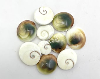 May include: A collection of polished, oval-shaped seashells in shades of white, brown, and green. The shells have a smooth, glossy finish and a spiral design. The shells are arranged on a white surface.