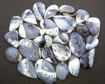 May include: A collection of 18 dendritic opal cabochons in various shapes and sizes. The opals are a mix of white and black with dendritic patterns.