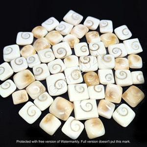 May include: A collection of square-shaped, polished, white and brown fossilized ammonite cabochons. The ammonites have a spiral pattern.