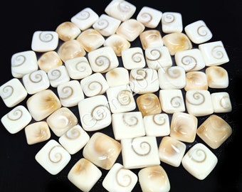 May include: A collection of square-shaped, polished, white and brown fossilized ammonite cabochons. The ammonites have a spiral pattern.
