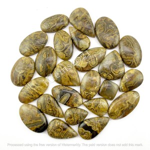 Cabochão de pedra preciosa de ágata turca natural, joias de pedra de ágata turca - ágata turca marrom - pedra para fazer joias múltiplas, lote de pedras preciosas soltas